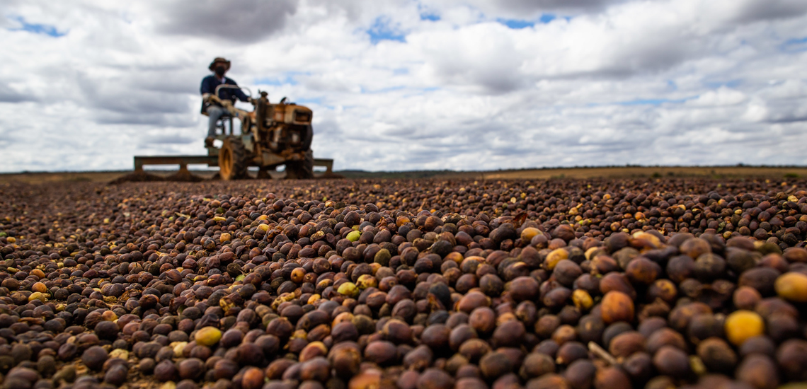 Cooperativa fica entre as 100 maiores do Agro 2023 da Forbes