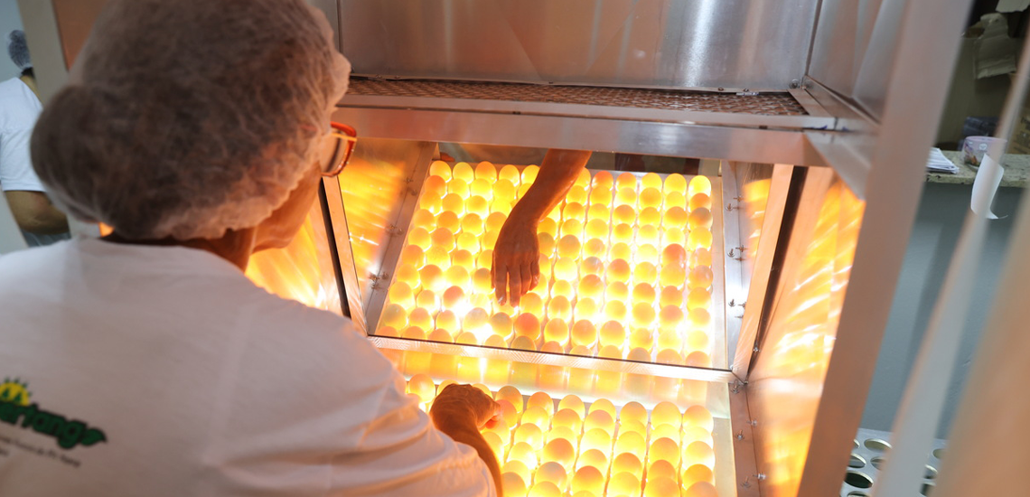 Cooperativas agro do ES se destacam pela diversidade nas produções