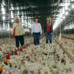 OCB e “Quem é Quem” alinham novas categorias para o prêmio que valoriza cooperativas agro