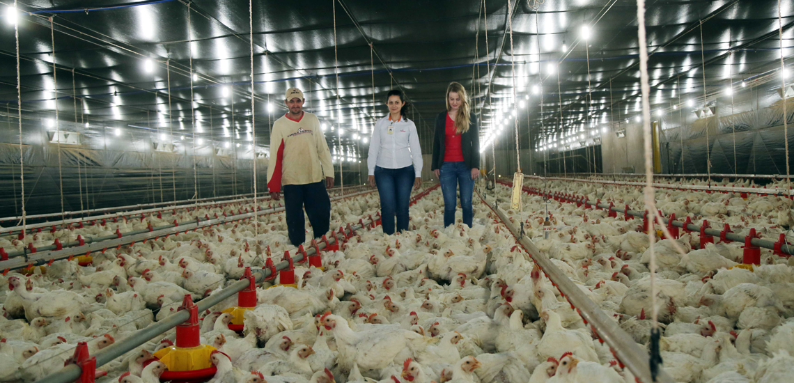 OCB e “Quem é Quem” alinham novas categorias para o prêmio que valoriza cooperativas agro