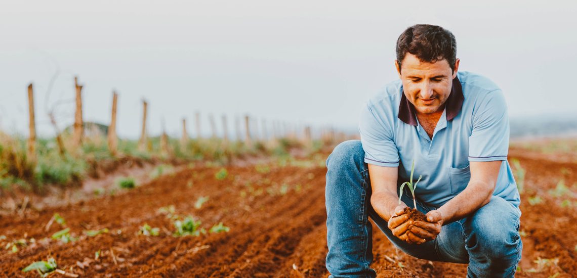 Produtores rurais brasileiros dominam ESG e maximizam seus resultados Produtores rurais brasileiros dominam ESG e maximizam seus resultados