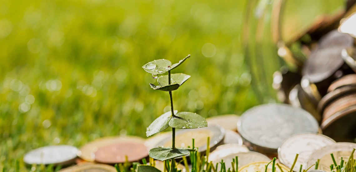 Linhas de crédito verde trazem novas oportunidades para as cooperativas Linhas de crédito verde trazem novas oportunidades para as cooperativas
