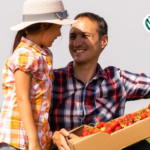 Implementos agrícolas contribuem para a eficiência no campo