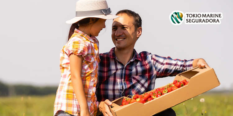 Implementos agrícolas contribuem para a eficiência no campo Implementos agrícolas contribuem para a eficiência no campo