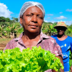 Instituições financeiras cooperativas exploram finanças verdes e alimentos sustentáveis na Europa Incentivo de 4,8 mil beneficia agricultores do cerrado no Norte de Minas