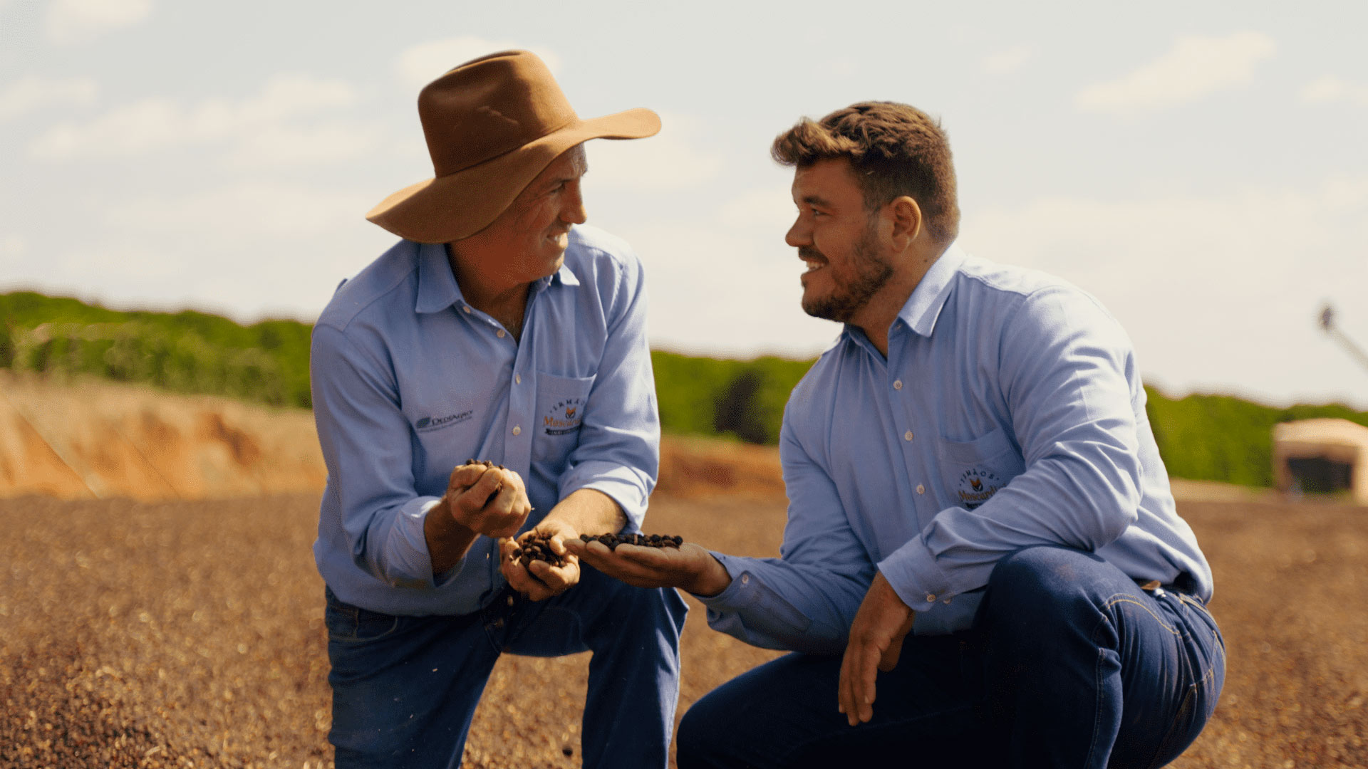 Projeto Café Sustentável será lançado em dezembro em Araguari Projeto Café Sustentável será lançado em dezembro em Araguari