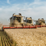 Cooperativa é pioneira na emissão de CRA Verde e faz captação de R$ 150 milhões