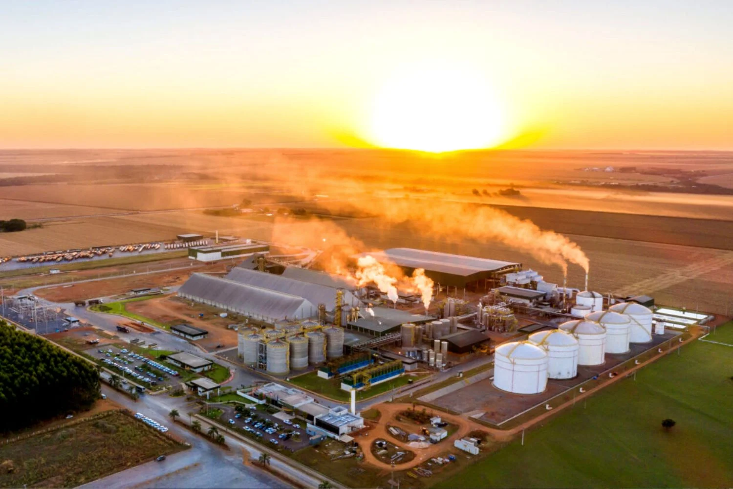 Cooperativa do Paraná aposta na energia limpa e impulsiona produção no Estado agro FS milho mato grosso 1mar23 FS Divulgacao