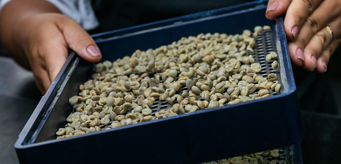 Cooperativa mineira inaugura o primeiro hub de café do Brasil nos EUA img 1 35