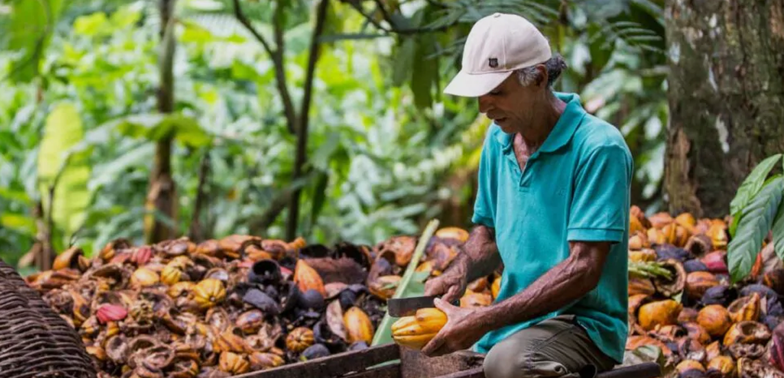 Cooperativas integram marca que estimula a alimentação agroecológica Cooperativas integram rede de estímulo à alimentação agroecológica