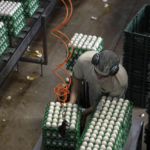 Cooperativas impulsionam cidade a destaque nacional pela sua produtividade