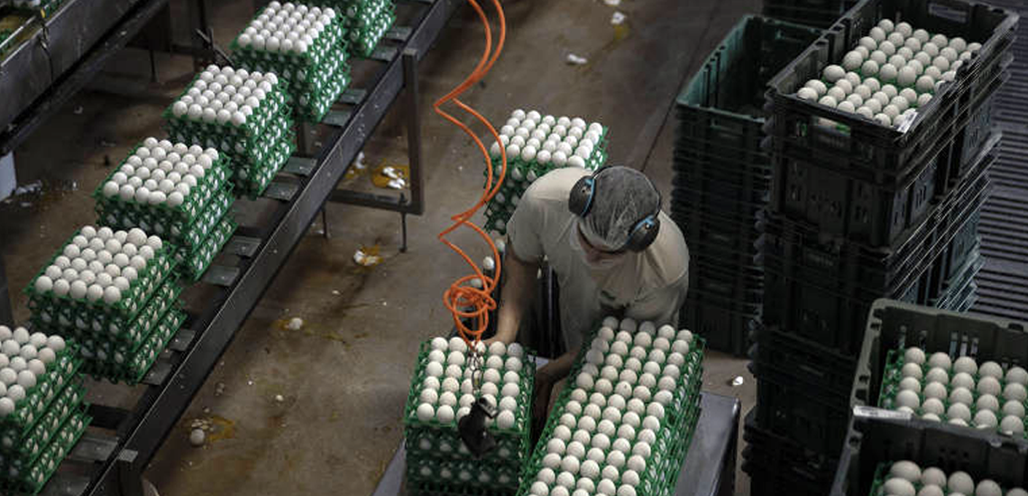 Cooperativas impulsionam cidade a destaque nacional pela sua produtividade Cooperativas impulsionam cidade a destaque nacional pela sua produtividade