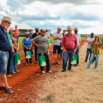 Cooperativas do Paraná iniciam a realização dos Dias de Campo