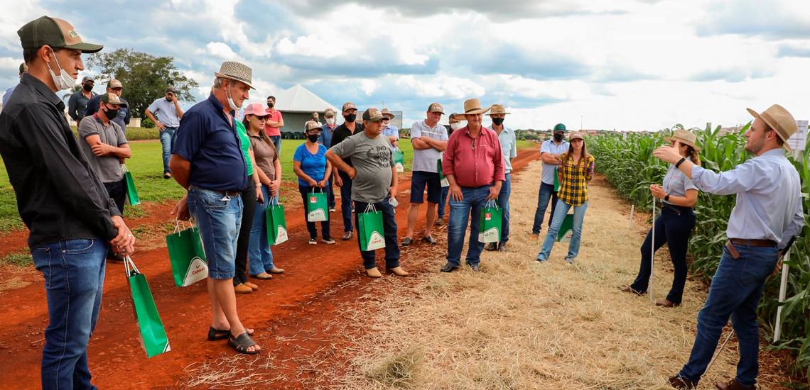 Cooperativas do Paraná iniciam a realização dos Dias de Campo Cooperativas do Paraná iniciam a realização dos Dias de Campo
