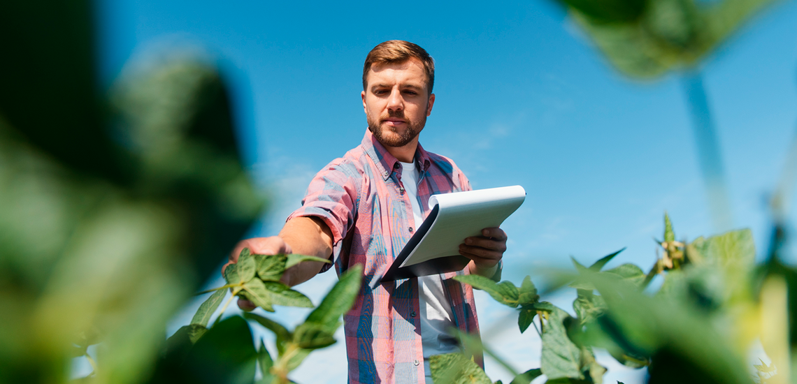 Conheça as tendências para o agronegócio em 2024 1 11
