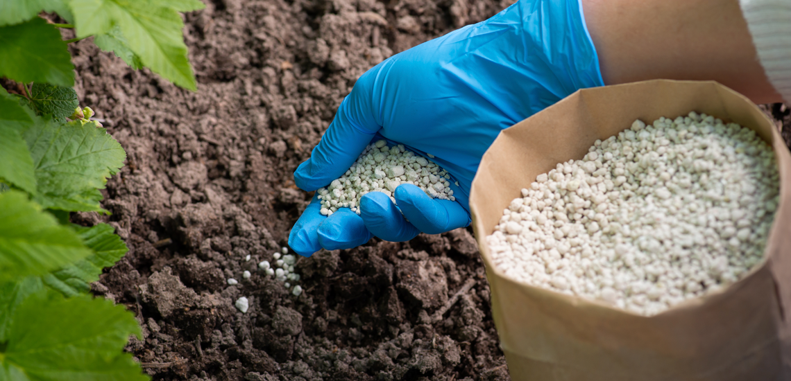 Agricultor tem momento favorável para compra de fertilizantes 1 9