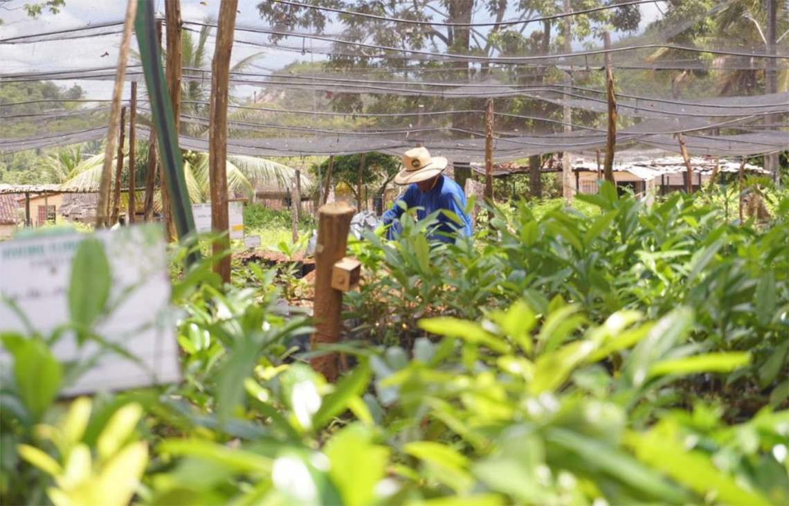 Bioeconomia: cooperativa mostra por que ser sustentável traz benefícios para todos Bioeconomia: cooperativa mostra por que ser sustentável traz benefícios para todos