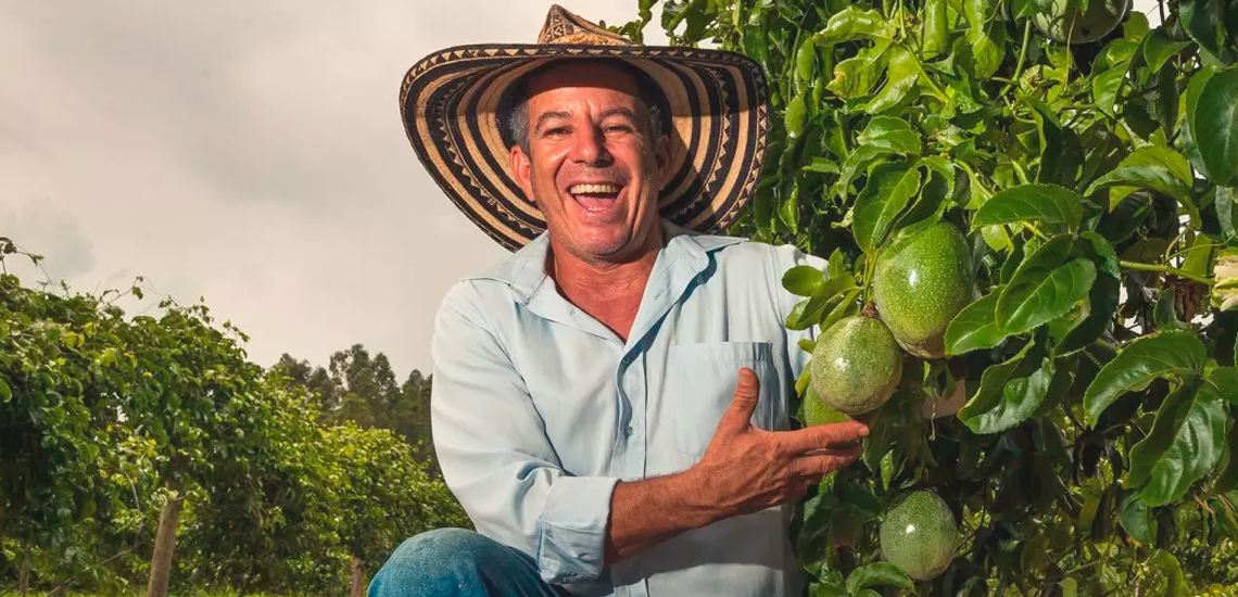 Uma em cada quatro cooperativas do Brasil é do setor de agronegócio img 1 3