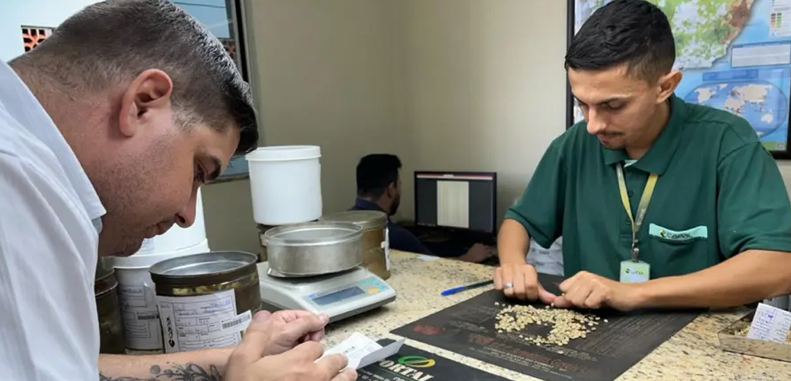 Cooperativa agropecuária começa a exportar café para três novos países da Europa 10 1