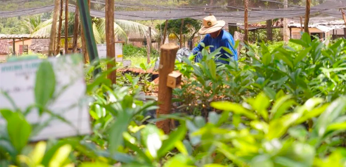 Bieconomia transforma cooperativa em case de sucesso de sustentabilidade 2 4