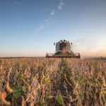 O impacto da atitude transformadora no mundo atual, com Rafael Cortez 3 7